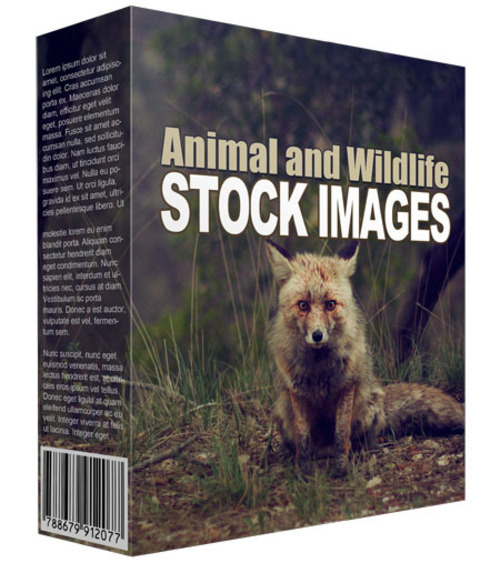 Product picture Animal and Wildlife Stock Images