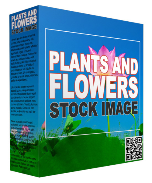 Product picture Plants and Flowers Stock Images